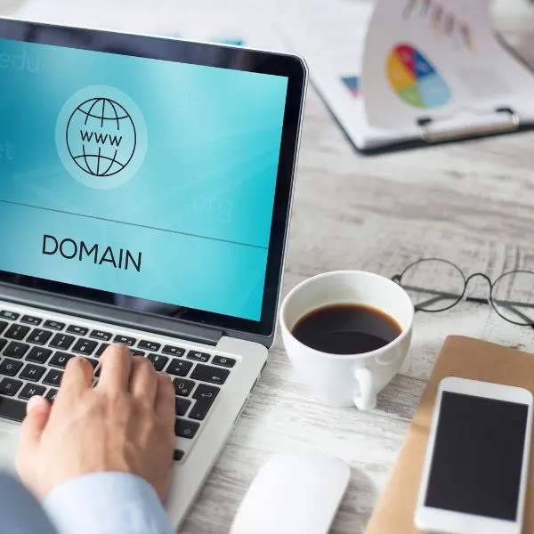 A professional business person working on a laptop that displays a clean "DOMAIN" interface with a global web icon.